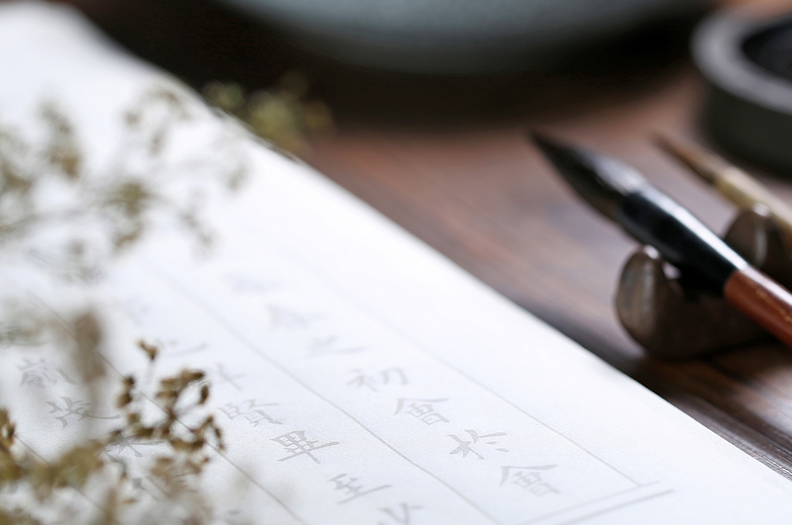 中文詞彙奇趣課程 (留名)